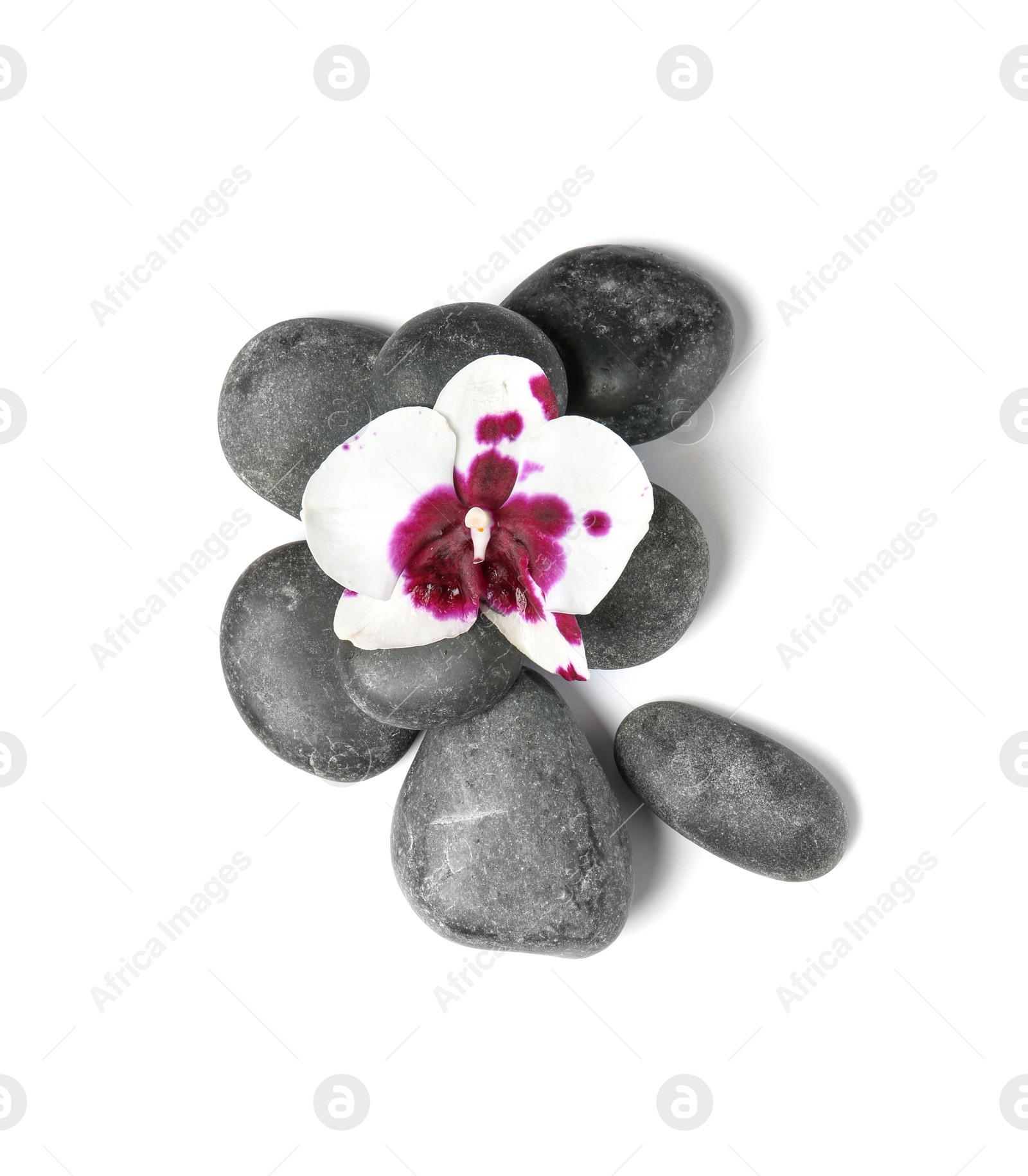 Photo of Spa stones with orchid flower on white background, top view