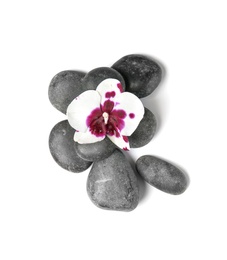 Spa stones with orchid flower on white background, top view