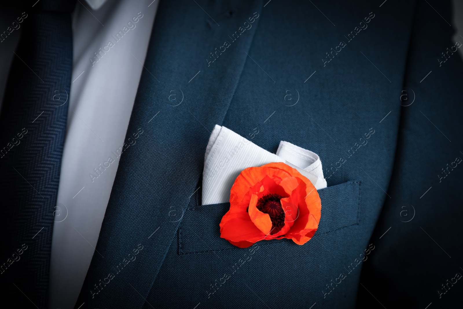 Image of Man with with red poppy flower in suit pocket, closeup view. Remembrance symbol