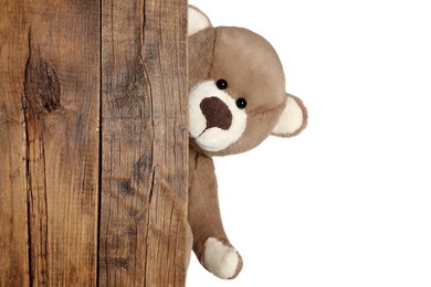 Photo of Cute teddy bear peeking out of wooden board on white background