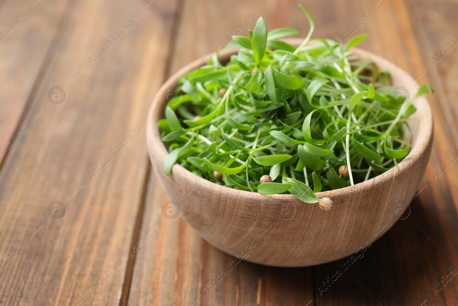 Photo of Bowl with fresh microgreen on wooden table, closeup