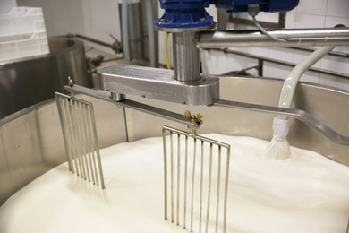 Photo of Pouring milk into curd preparation tank at cheese factory