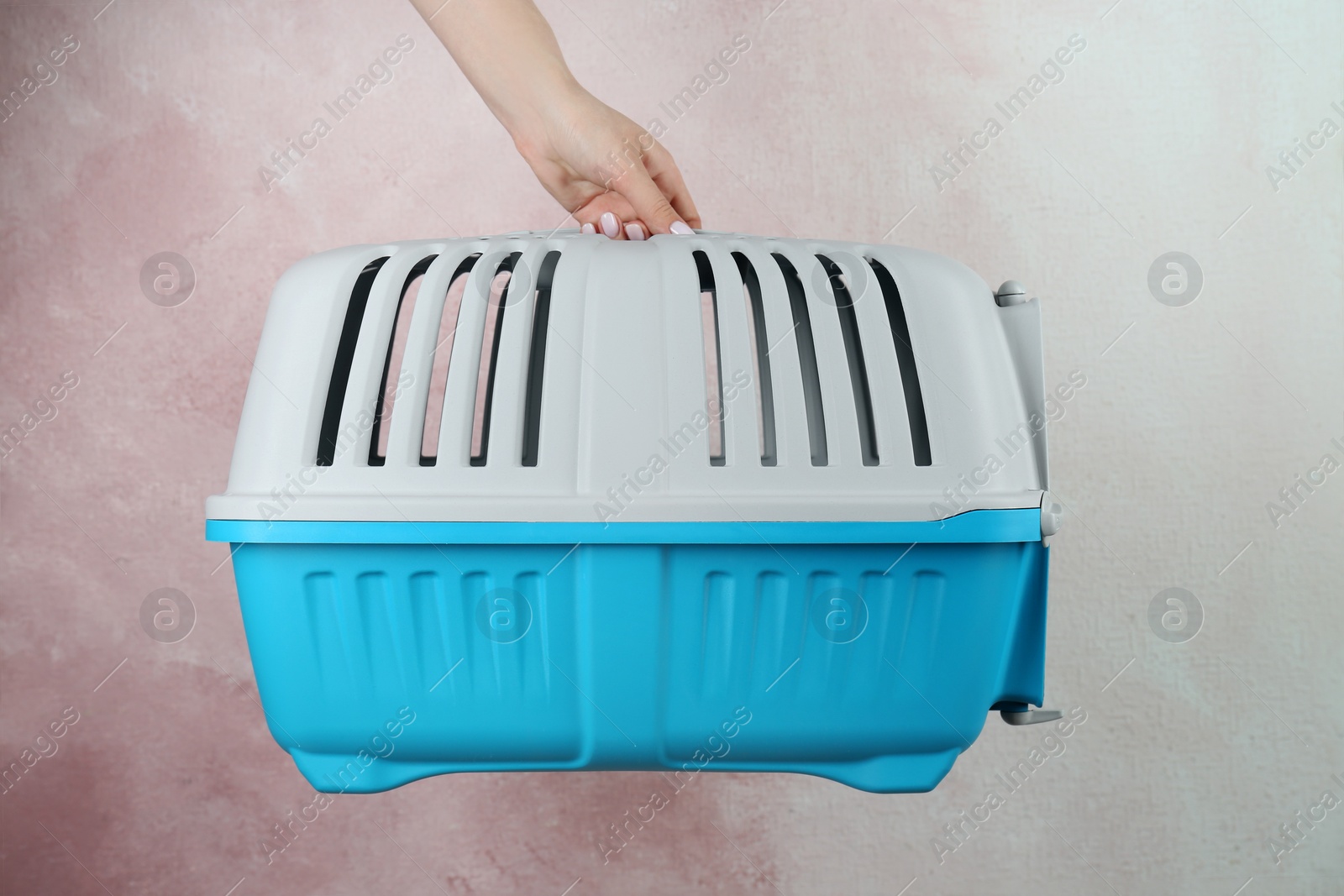 Photo of Woman holding light blue pet carrier against pink wall, closeup