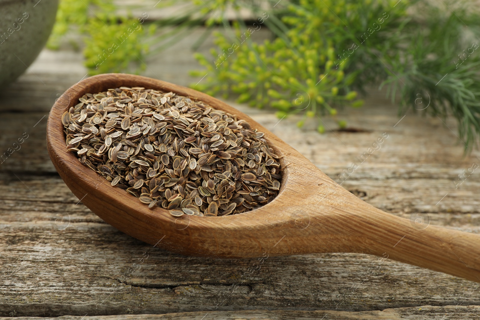 Photo of Spoon with dry seeds and fresh dill on wooden table, closeup