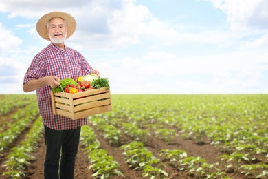 Harvesting season. Farmer holding wooden crate with crop in field