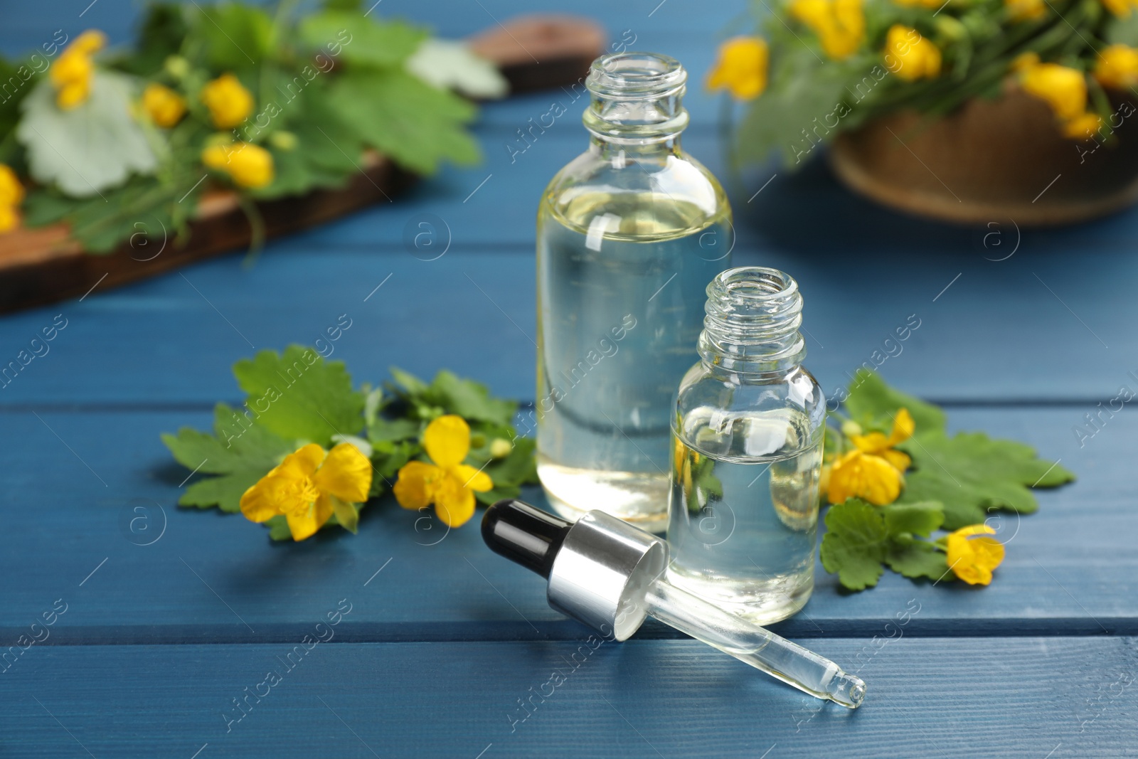 Photo of Bottles of natural celandine oil near flowers on blue wooden table