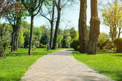 Photo of Picturesque view of beautiful park with fresh green grass and trees