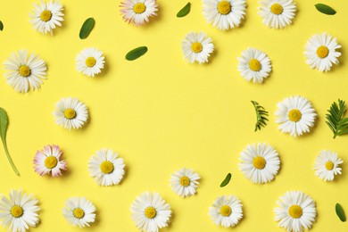 Photo of Frame of daisy flowers and leaves on yellow background, flat lay. Space for text
