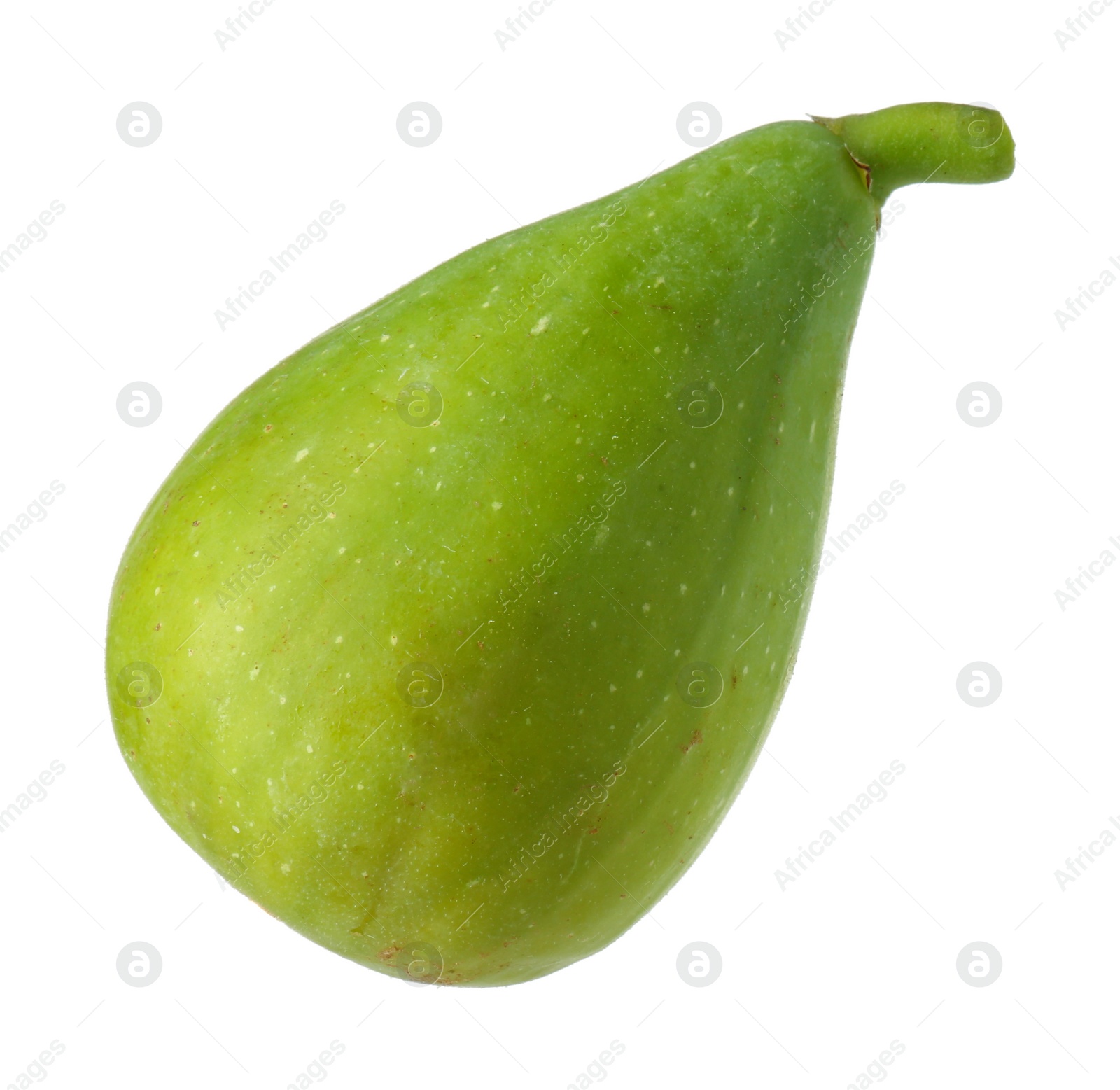 Photo of One fresh green fig isolated on white