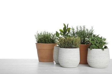 Photo of Pots with thyme, bay, sage and rosemary on table against white background