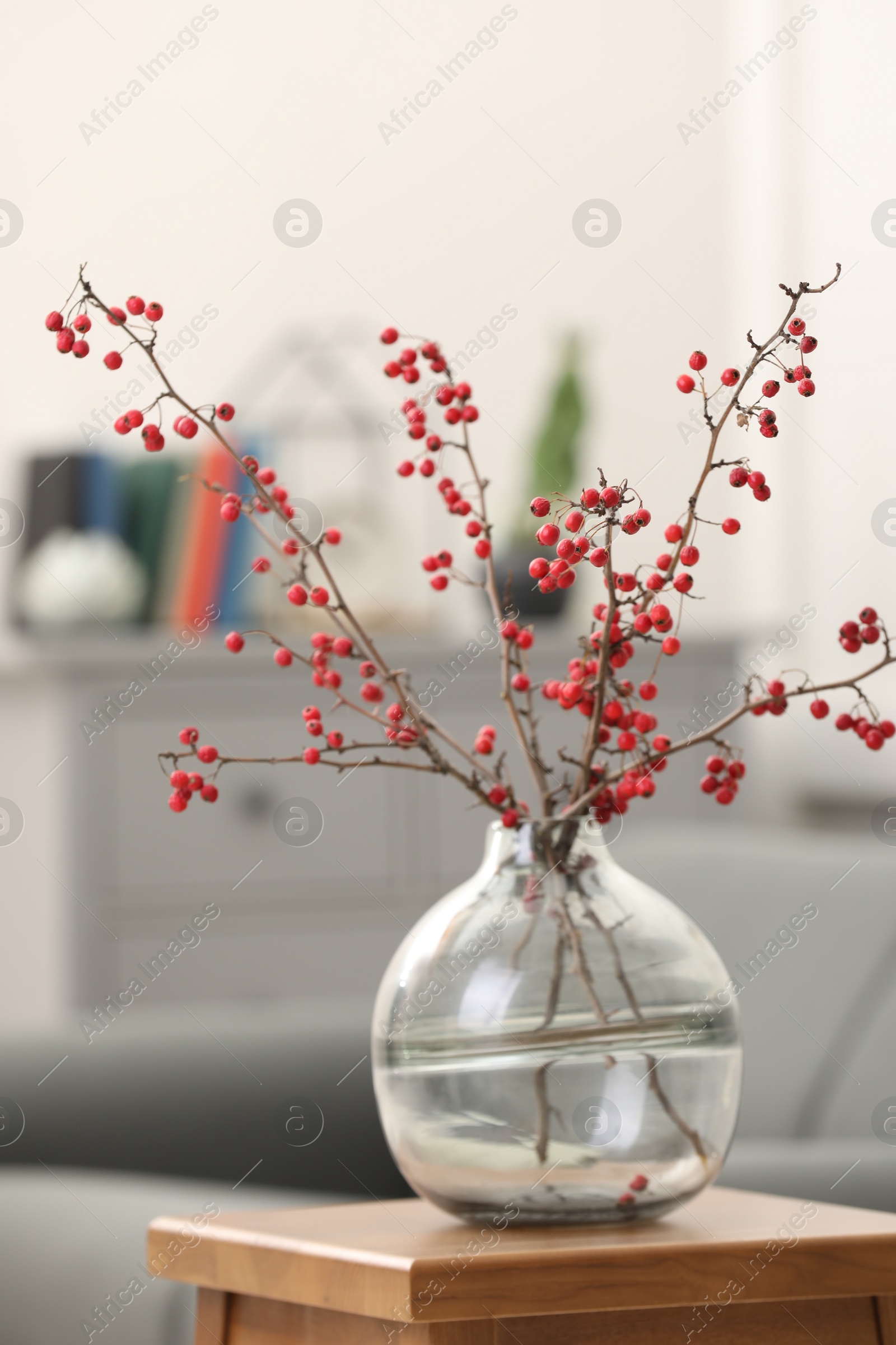 Photo of Hawthorn branches with red berries on wooden table in living room