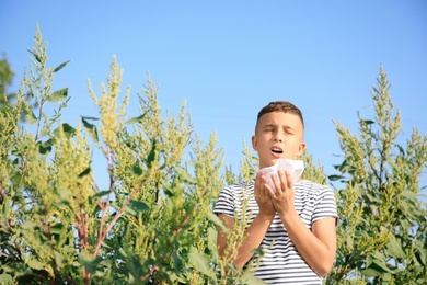 Photo of Little boy suffering from ragweed allergy outdoors