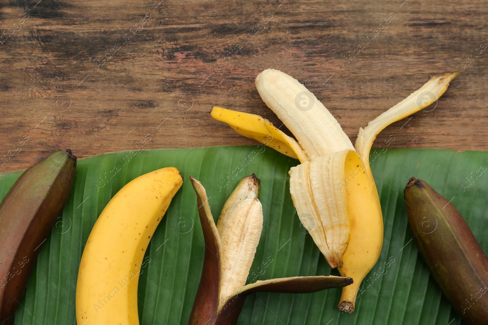 Photo of Different types of bananas and fresh leaf on wooden table, flat lay