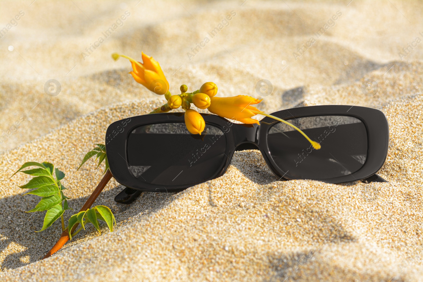 Photo of Stylish sunglasses and tropical flower on sand, closeup