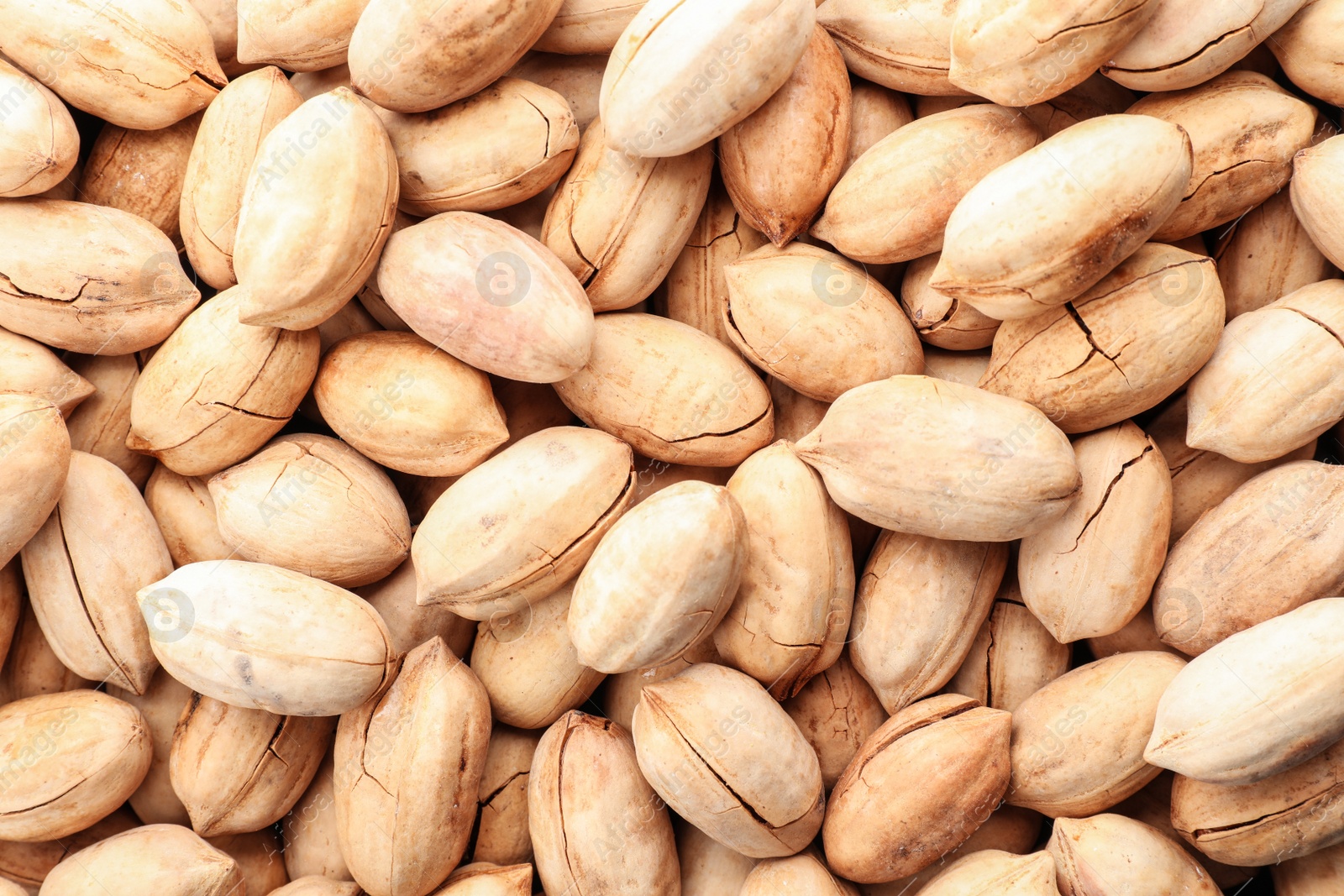 Photo of Pecan nuts in shell as background, top view. Nutritive food