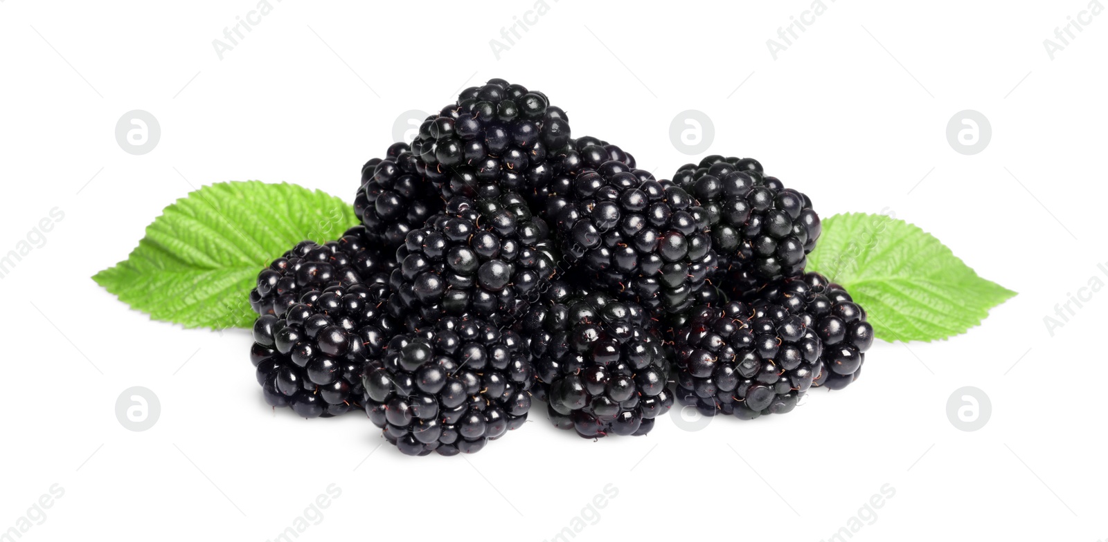 Photo of Pile of ripe blackberries with green leaves isolated on white