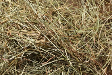 Photo of Pile of dried hay on table, closeup view
