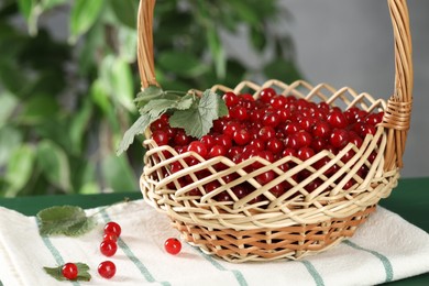 Ripe red currants and leaves in wicker basket on green table