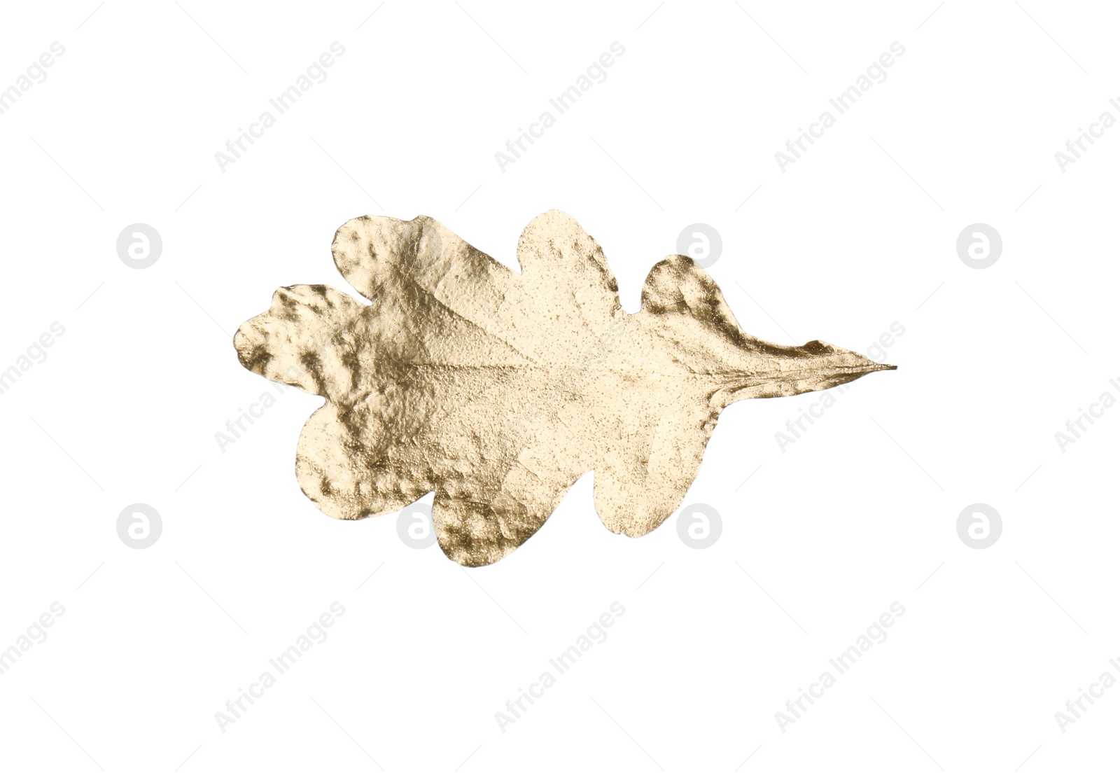 Photo of One golden oak leaf isolated on white. Autumn season