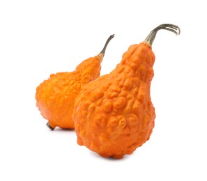 Photo of Two fresh orange pumpkins isolated on white