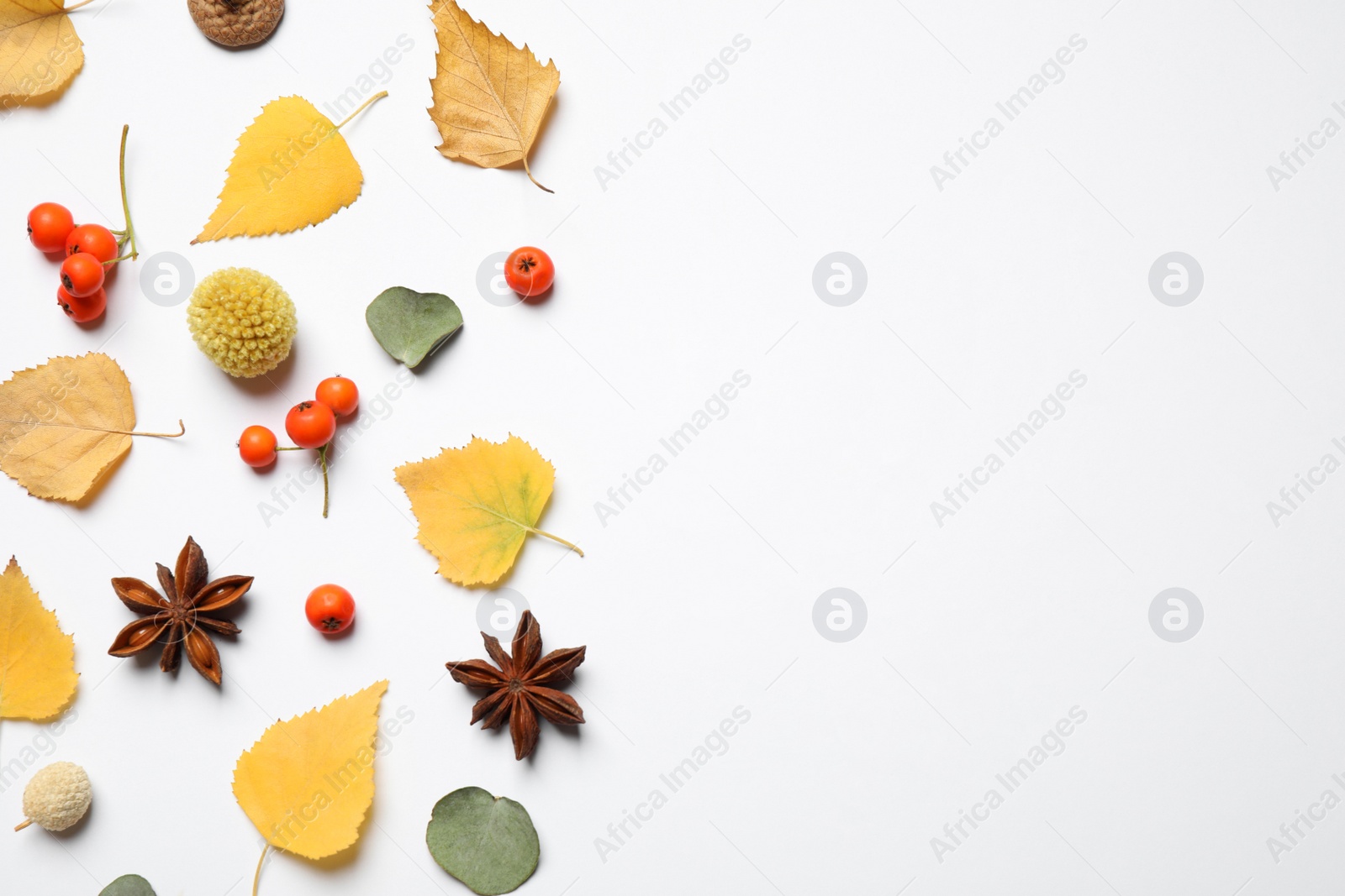 Photo of Flat lay composition with autumn leaves and space for text on white background