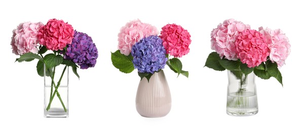 Image of Collage of stylish vases with beautiful hydrangea bouquets on white background