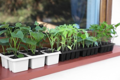 Photo of Seedlings growing in plastic containers with soil on windowsill