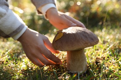 Photo of Man picking porcini mushroom outdoors on autumn day, closeup