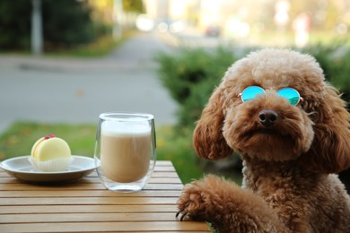 Photo of Cute fluffy dog at table with coffee and macaron in outdoor cafe