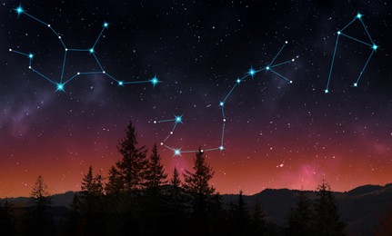 Image of Different constellations in starry sky over forest at night