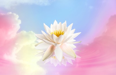 Image of Floating beautiful lotus and reflection of sky with fluffy clouds on water, toned in pastel rainbow colors. Symbolic flower in Buddhism