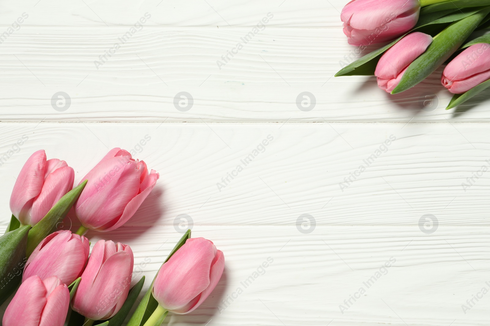 Happy Mother's Day. Beautiful pink tulips on white wooden table, flat lay. Space for text Photo of Happy Mother's Day. Beautiful pink tulips on white wooden table, flat lay. Space for text