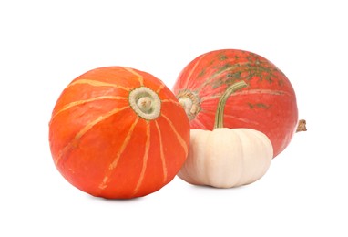 Photo of Different fresh ripe pumpkins isolated on white