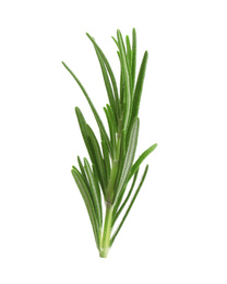 Photo of Fresh green rosemary isolated on white. Aromatic herb