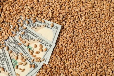 Photo of Dollar banknotes on wheat grains, top view. Agricultural business