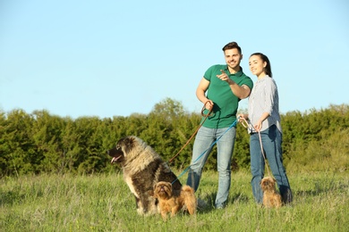 Photo of Young couple walking their dogs in park