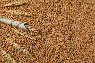 Photo of Dollar banknote and wheat ears on grains, top view. Agricultural business