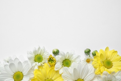 Photo of Beautiful chamomile flowers on white background, flat lay. Space for text