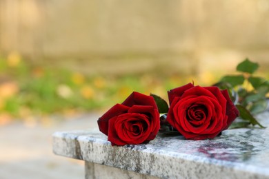 Photo of Red roses on granite tombstone outdoors, space for text. Funeral ceremony