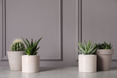 Beautiful Aloe, Cactus and Haworthia in pots on light table, space for text. Different house plants