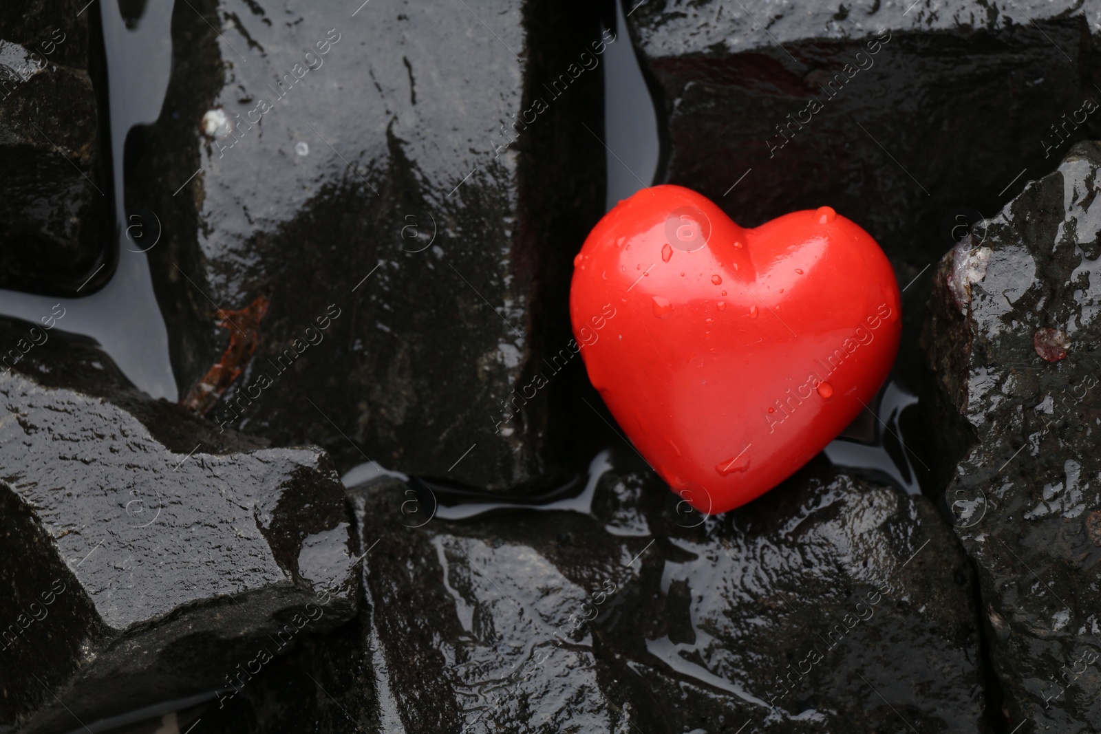 Photo of Red decorative heart on stones and water, top view. Space for text