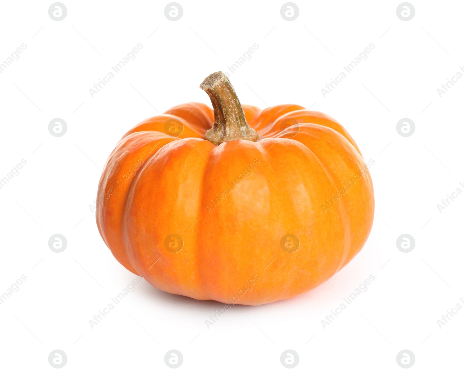 Photo of Beautiful ripe orange pumpkin isolated on white