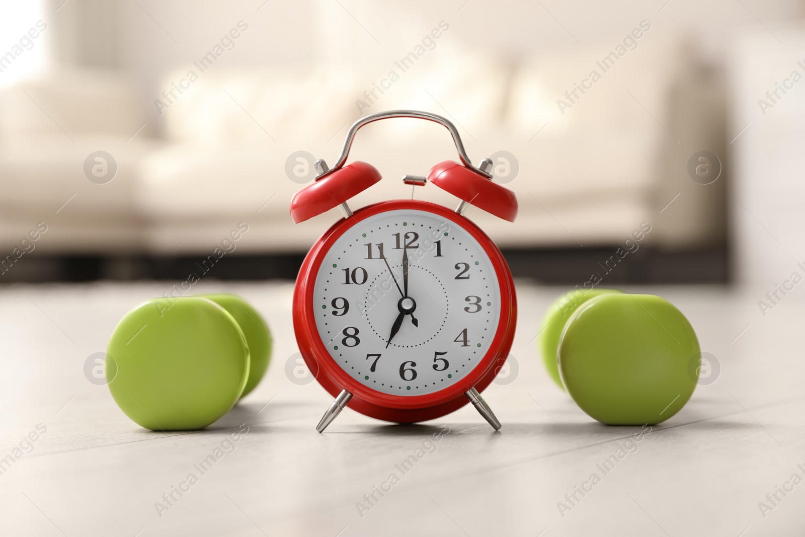 Photo of Alarm clock and dumbbells on wooden floor indoors. Morning exercise