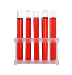 Photo of Many test tubes with red liquid in stand isolated on white