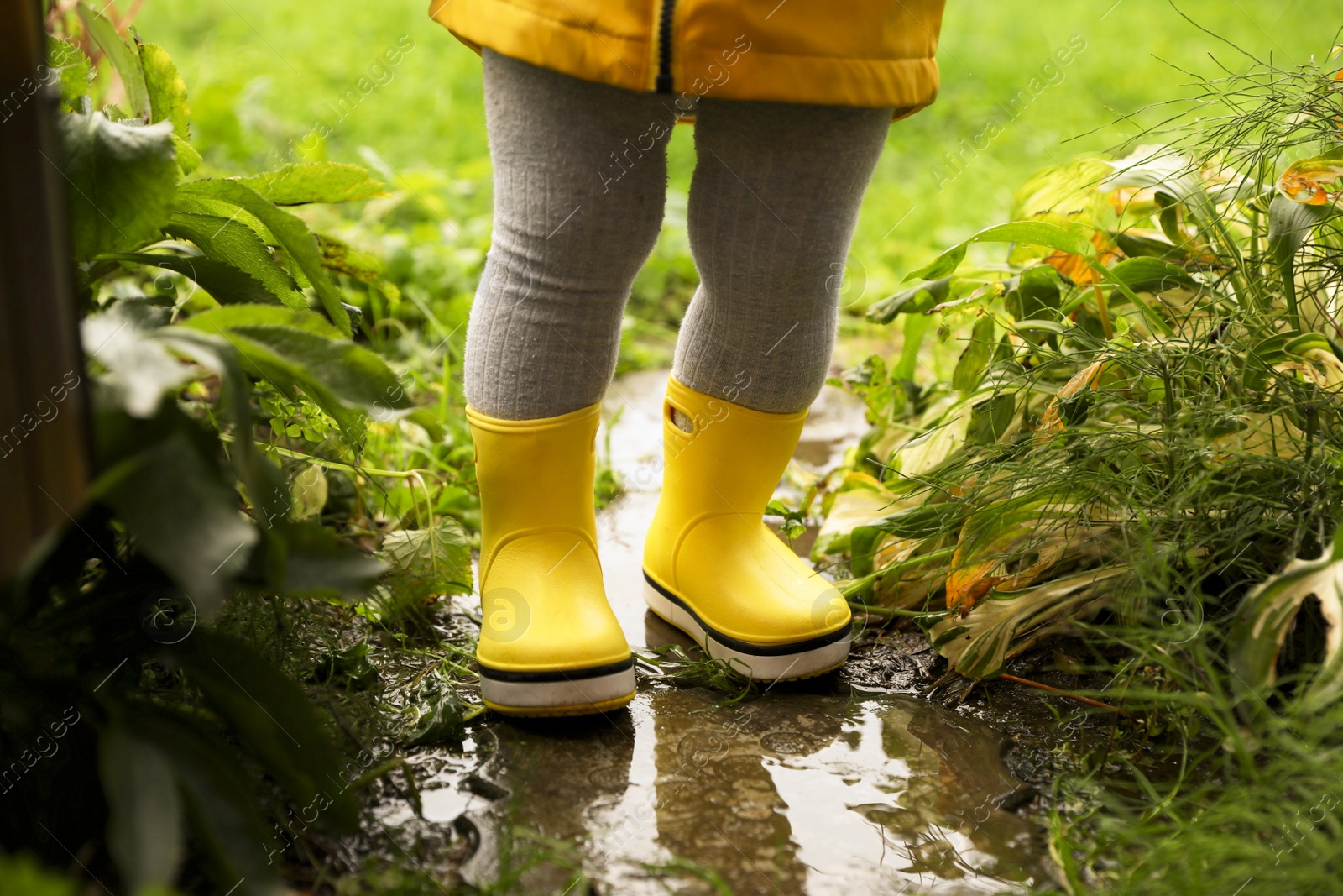 Photo of Little girl wearing rubber boots standing in puddle outdoors, closeup