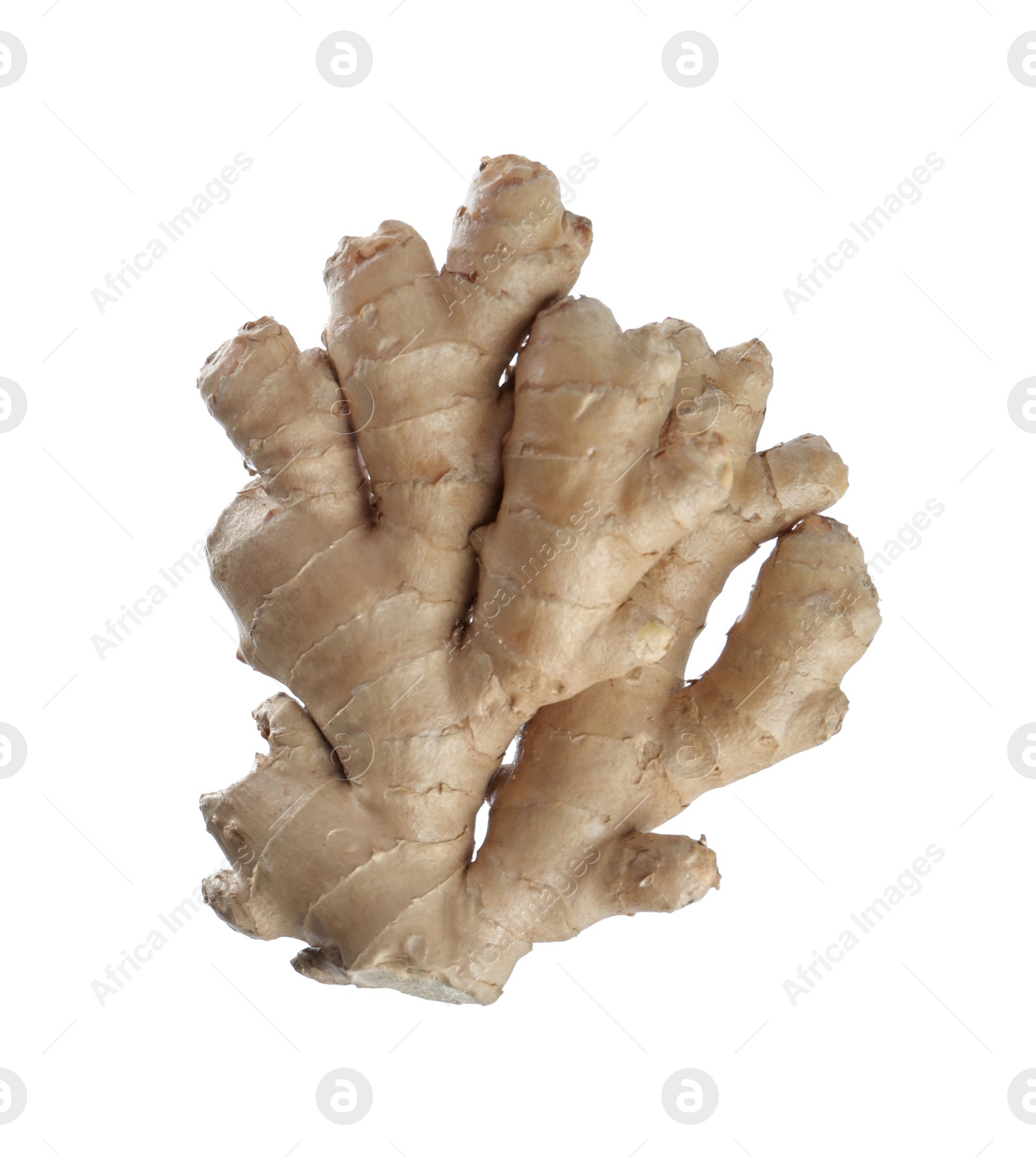 Photo of Whole fresh ginger root isolated on white