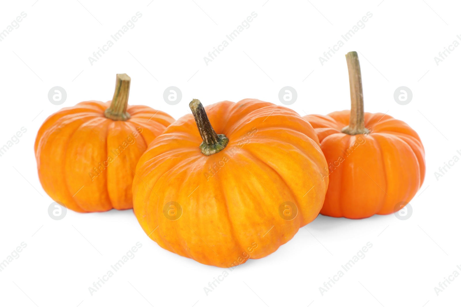 Photo of Fresh ripe orange pumpkins on white background