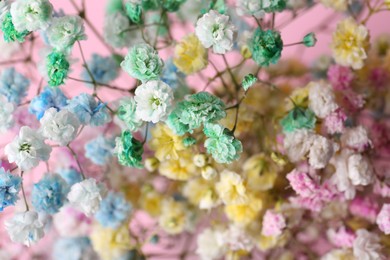 Beautiful dyed gypsophila flowers on pink background, closeup