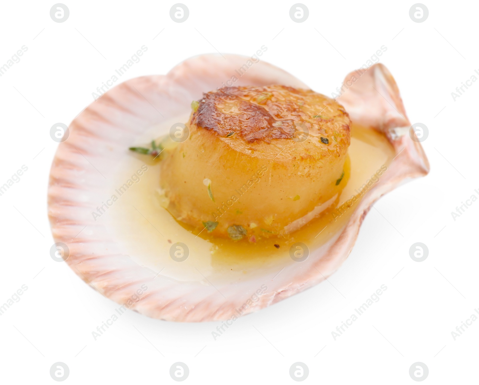 Photo of Delicious fried scallop in shell isolated on white