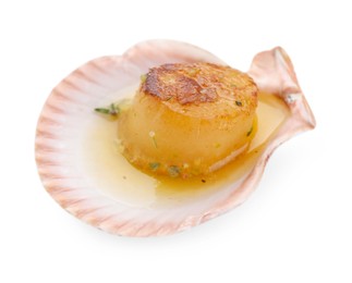 Delicious fried scallop in shell isolated on white